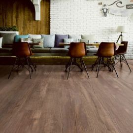 Oak Salvador soya1